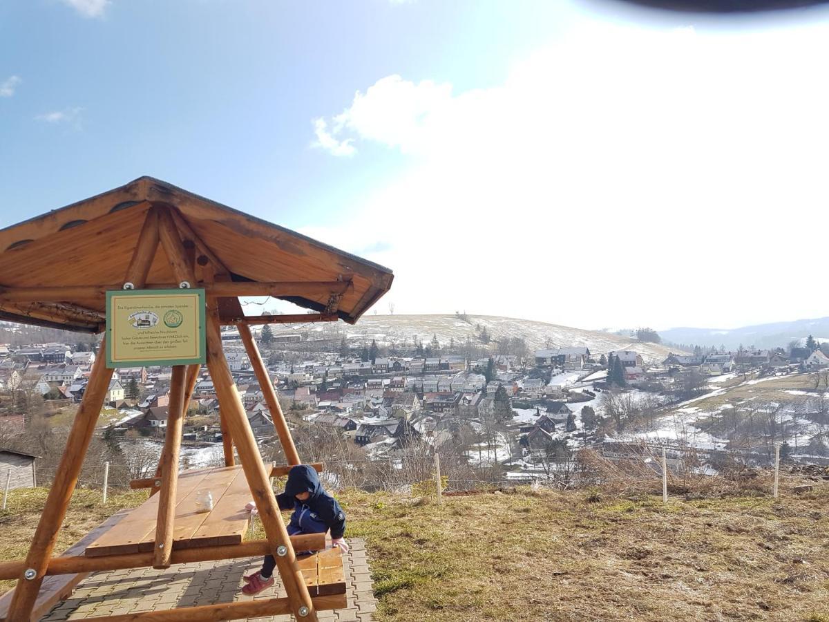 Unik Villa Sankt Andreasberg Exterior foto